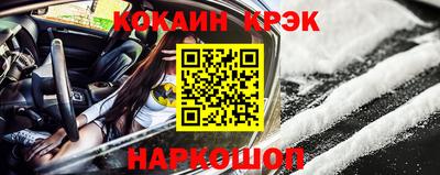 крисы Кулебаки