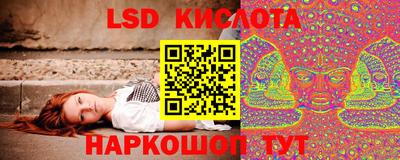 ГАЛЛЮЦИНОГЕННЫЕ ГРИБЫ Кунгур