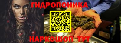 крисы Кулебаки