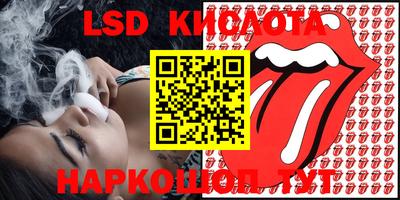 крисы Кулебаки