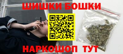 крисы Кулебаки