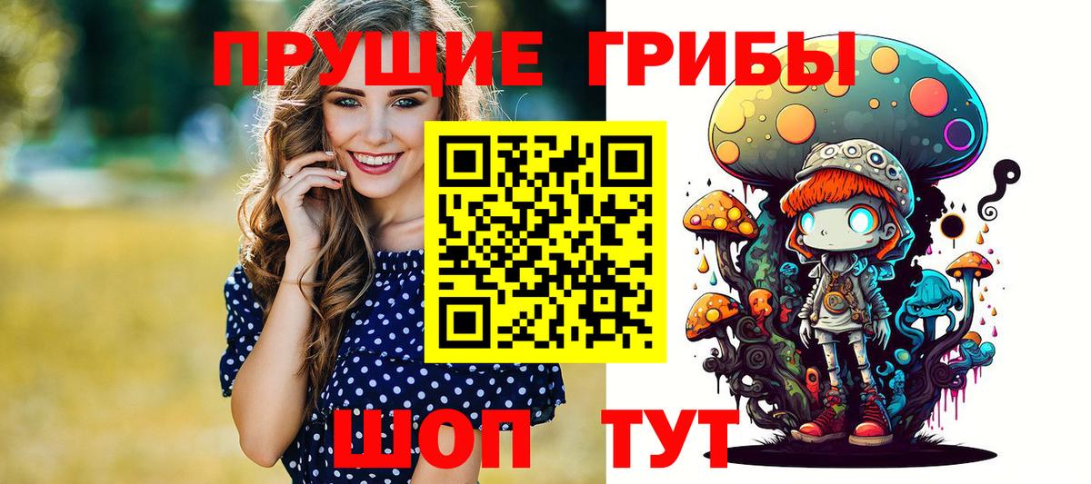 Псилоцибиновые грибы Psilocybe Кировск