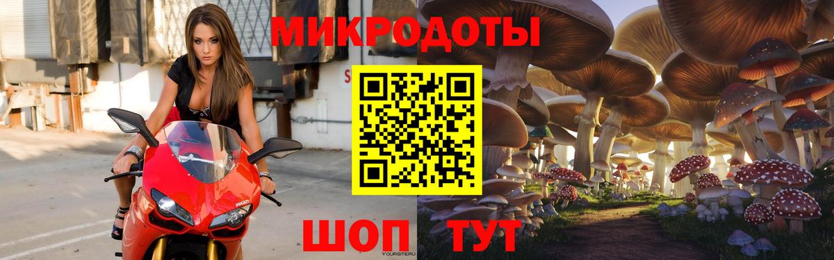 Кировск  Псилоцибиновые грибы прущие грибы  где можно купить наркотик  Вход с VPN 